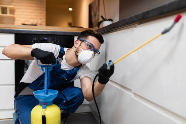 Best Pest Control Near Me in Shavertown, PA