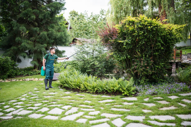 Best Pest Control Near Me  in Shavertown, PA