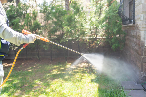 Flea Control Services in Shavertown, PA