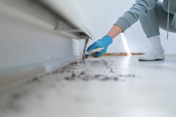 Best Wildlife Control Services  in Shavertown, PA